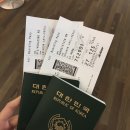 다낭 1day : 공항-로열로터스호텔-한시장-환전-쩌비엣-워터프론트-노아스파-알라카르트 루프탑
