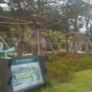 숲나루공원 이미지