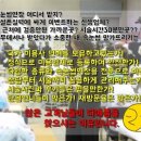 영커피사하 이미지