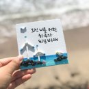 돌담귤밭