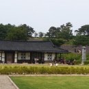 핑크몰리