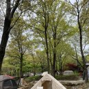 강화도캠핑장, 낭만에코파크 산들바람사이트 2박 3일 캠핑대만족 후기 (캠핑요리, 명당사이트 추천)