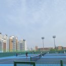 성사고등학교 | [야외/하드코트] 고양시 성사체육공원 테니스장 리뷰! 드림테니스배 전국동호인대회 후기.