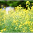 사람과나무 이미지