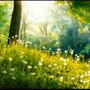 초록바람 이미지