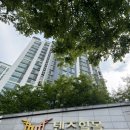 텐즈힐 애견미용 이미지