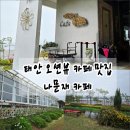CC자동차인테리어 | 태안 솔라고cc 근처 오션 뷰 카페 맛집 인테리어가 예쁜 나문재 카페