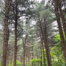 자연휴양림입구 공중화장실 이미지