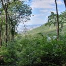 불모산동 이미지