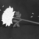 제주순복음종합사회복지관 이미지