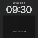 하지몰 이미지