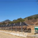 알로한 태양광발전소 이미지