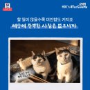 힐스 뉴스1