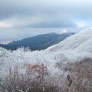 월평 당구장 이미지