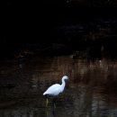 만천천길 이미지