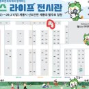 노랭보랭 이미지