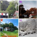 내인생의 봄날 이미지