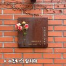 충무로엘크루메트로시티2 | [수잔나의 앞치마] 바쁘게 돌아가는 충무로의 뒷골목, 한줄기 쉼 같은 공간