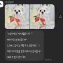 에이프릴펫