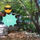 은평-035 이미지