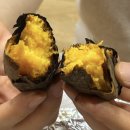 쥬라기카라반 | 강화 여행 내돈내산 쥬라기 카라반 C13호