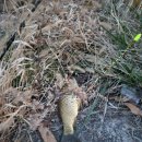 고현낚시터 이미지