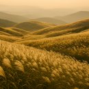 합천게스트하우스민박 이미지