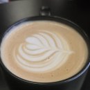 솔리토(SOLITO)