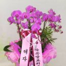 1004꽃집 이미지