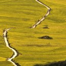 그린목장 이미지