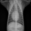 다산아이동물병원 이미지