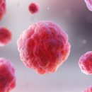 구로의원 이미지