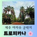 상창리-1 | [제주 여행] 서귀포시 안덕면 야자수 군락지 넷플릭스 <수리남> 촬영지 "트로피카나" 즐거운 방문후기