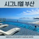 대기 없는 체크인과 수영장, 라운지 이용 꿀팁 포함 [시그니엘 부산] 해운대 숙소 솔직 리뷰