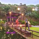 여주-0827 네이버블로그