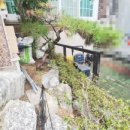 중앙동147 이미지