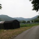 백마산_숲길(등산)1코스 이미지