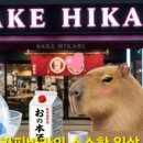 히카리광 네이버블로그