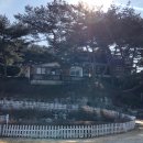 솔푸른향기