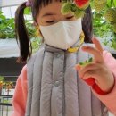 두루팜 네이버블로그
