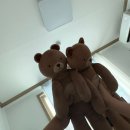 꿈돌이도서관 | [대전 1박2일 코스] 쪼대로 다녀온 대전 여행기: 교동이와 꿈돌이와 나🫧⭐️(2)