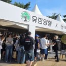 아우르다