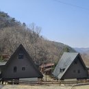 트리하우스 이미지