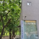 스테이 오년 이미지