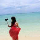 파라다이스 이미지