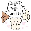 오랜제주 선화집 이미지