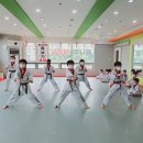 용인대 꿈나무 태권도장 이미지