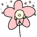 에스프레소바연두