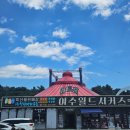 아이월드 | 여수 여행 필수코스! 아이들이 반한 여수월드서커스 관람 후기｜여수 가족여행 추천