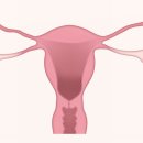 뮤여성의원 이미지